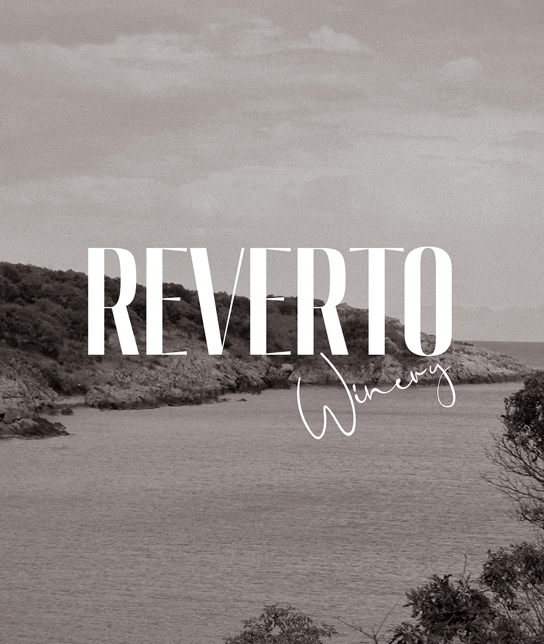 Reverto Winery — Packaging